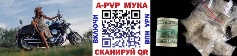 APVP СК Новокузнецк