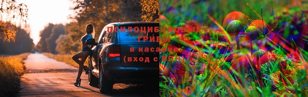 бошки Нефтегорск