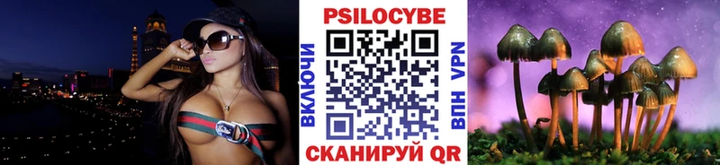 где найти наркотики  Новокузнецк  Галлюциногенные грибы мухоморы 